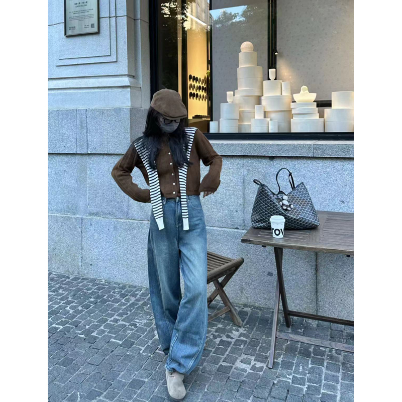 2024 Autumn Women's Classic Printed Plaid Tote Handbag, Large Capacity Travel Bag for Everyday Use