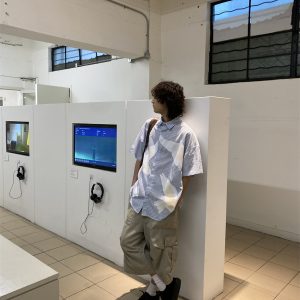 American Retro Pigeon Print Striped Short Sleeve Shirt for Men & Women - Summer Casual Loose Fit Trendy Top