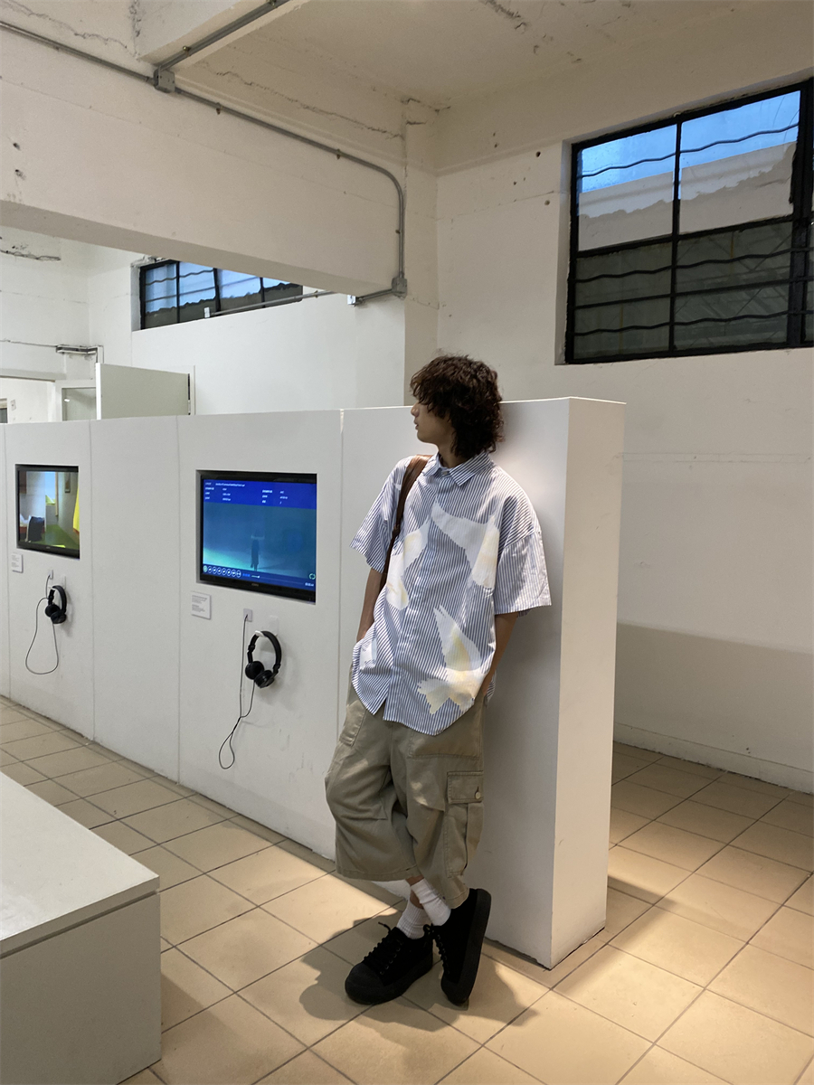 American Retro Pigeon Print Striped Short Sleeve Shirt for Men & Women - Summer Casual Loose Fit Trendy Top American Retro Pigeon Print Striped Short Sleeve Shirt for Men & Women - Summer Casual Loose Fit Trendy Top