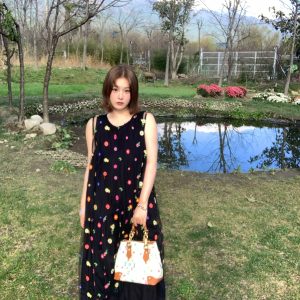 Cloud Flower Butterfly Retro Sheer Mesh Cover Dress - Women's Summer Loose A-Line Long Dress in Vintage Style