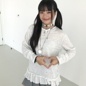 Freshwater Micro Long Lace Embroidered Sheer Striped Casual Layered Round Neck Loose Long Sleeve Top