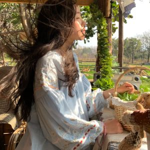 Retro Linen Cotton Long Sleeve Shirt for Women - Honey Daisy Embroidered Lantern Sleeve Top - Spring Vintage Floral Style