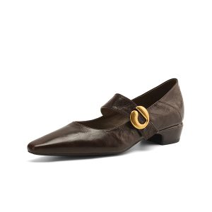 Vintage Mid-Heel Mary Jane Shoes for Women - 2025 Spring Summer Lambskin Chunky Heel Flats, Pointed Toe, Shallow Mouth Design