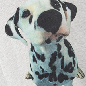 Concert Outfit Dalmatian Graphic T-Shirt