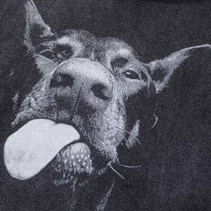 Concert Outfit Dark Series Doberman Hoodie