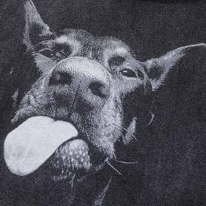 Concert Outfit Dark Series Doberman Print Hip-Hop Old Hoodie