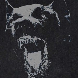 Concert Outfit Doberman Print Washed T-Shirt