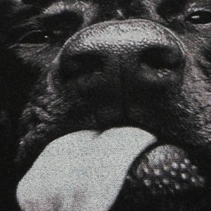 Concert Outfit Doberman Print Washed Vintage T-Shirt