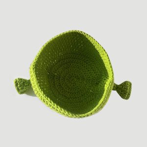 Concert Outfit Funny Animated Shrek Beanie