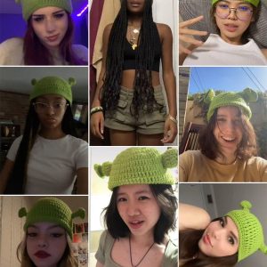 Concert Outfit Funny Animated Shrek Beanie
