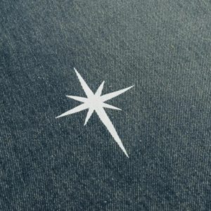 Concert Outfit Polaris Print Washed Straight Jeans