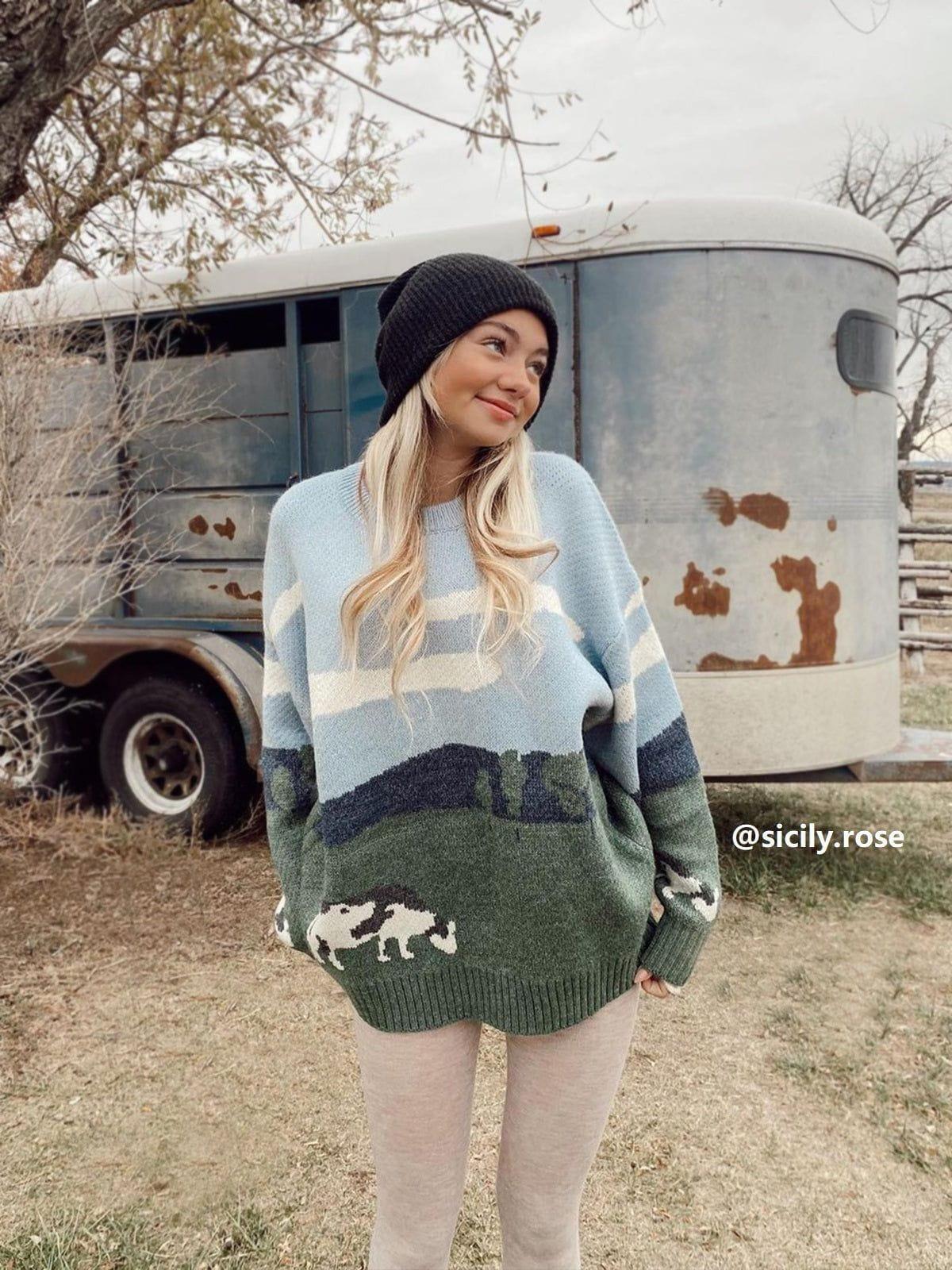 Concert Outfit Vintage Prairie Cow Pattern Streetwear Sweater Concert Outfit Vintage Prairie Cow Pattern Streetwear Sweater